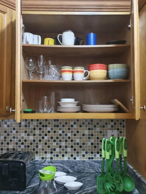 Central Upscale New Kingston Apt With Pool エクステリア 写真