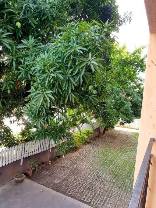Central Upscale New Kingston Apt With Pool エクステリア 写真