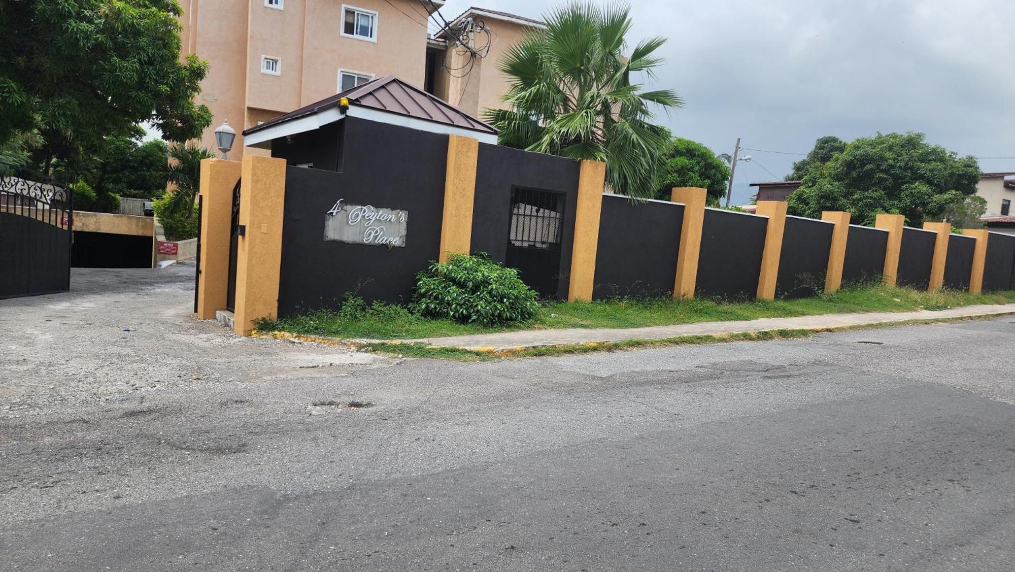 Central Upscale New Kingston Apt With Pool エクステリア 写真